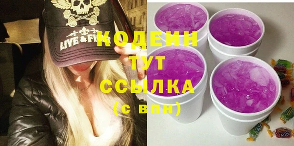 гашик Гатчина