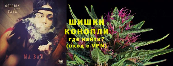 эйфоретик Баксан