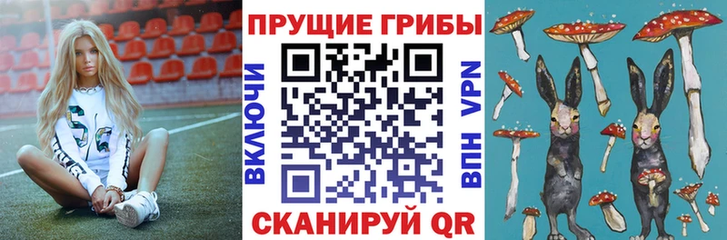 Галлюциногенные грибы ЛСД  Колпашево 