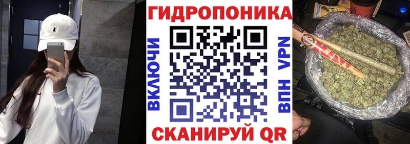 купить наркоту  Колпашево  Каннабис индика 